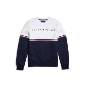 Adaptive Mens Colorblock Icon Sweatshirt | Adaptive Sweatshirts & Hoodies | Tommy Hilfiger