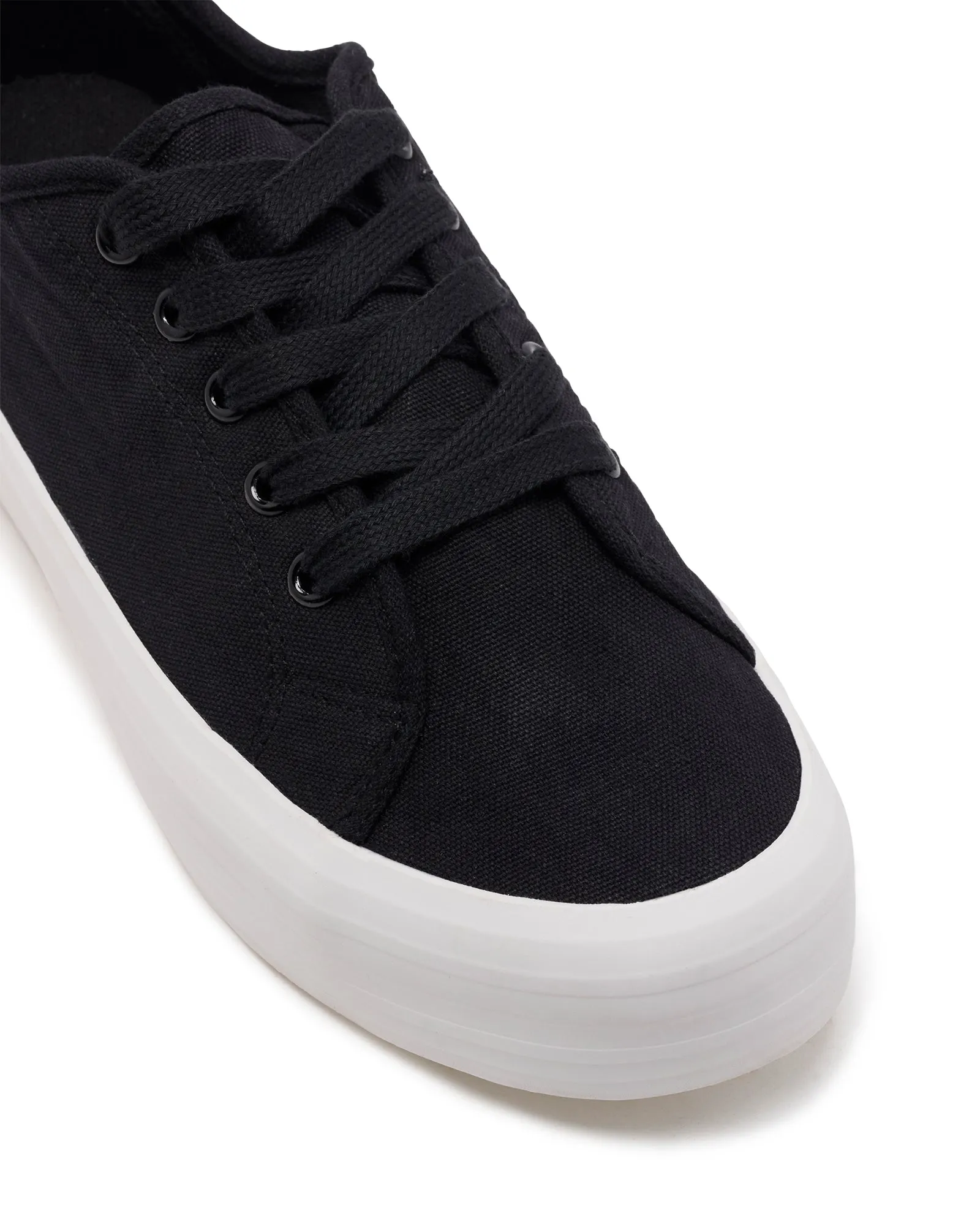 Fiasco Sneaker Black Canvas